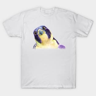 Colorful Peregrine Falcon in Watercolor T-Shirt